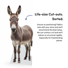 Load image into Gallery viewer, Custom Foamex Board Printing - Contour Cut Donkey