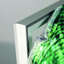 Load image into Gallery viewer, POPlight Wall Mounted - Graphics