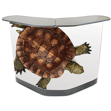 Load image into Gallery viewer, Dual Transport Case/Counter