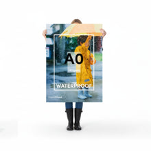 Load image into Gallery viewer, A0 Poster

